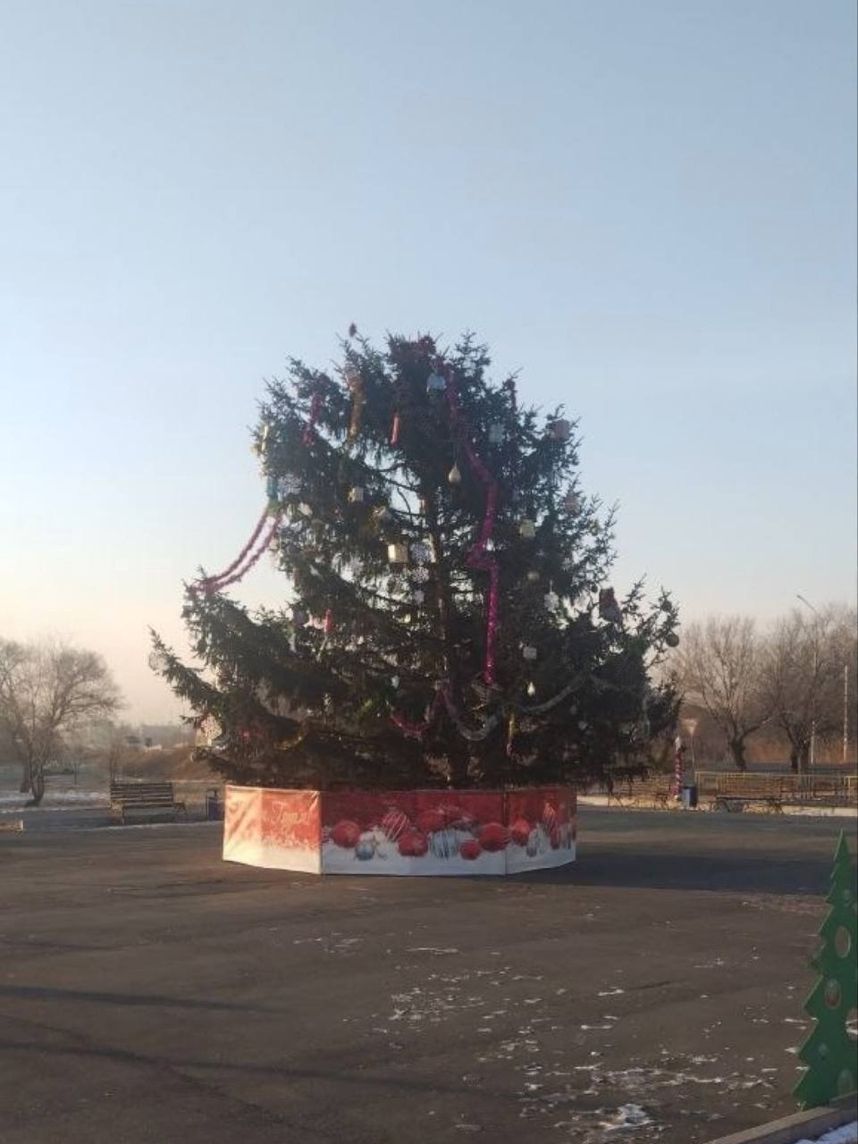«Все остальные ещё страшнее»: власти Приморья пообещали привести в порядок квадратную ёлку, которая стала местной знаменитостью