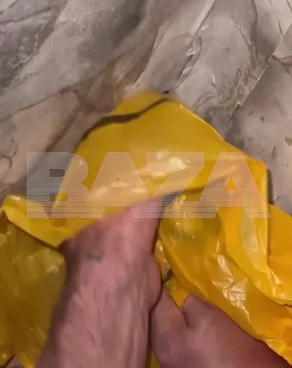 Когда соседка – гадюка. Женщина из кубанского хутора Ляпино долгое время жила в доме вместе с опасной «квартиранткой» – самой настоящей гадюкой