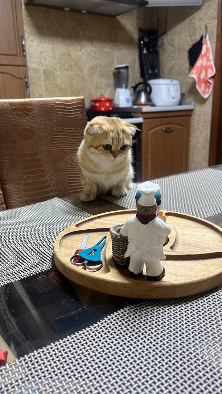 Доброе утро, Кубань!. Краснодар +7 °С Доброе утро, Кубань!. Краснодар +7 °С