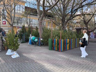 В Геленджике начали работу елочные базары