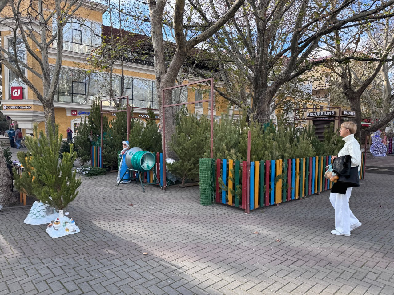 В Геленджике начали работу елочные базары