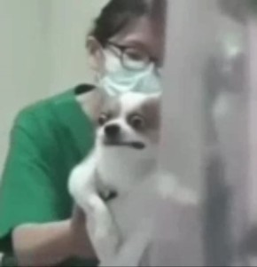 � ������ ����� ������ ��������� ����� �� ������������ ������