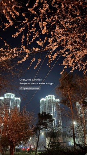 ����� ������ ������� � ����������