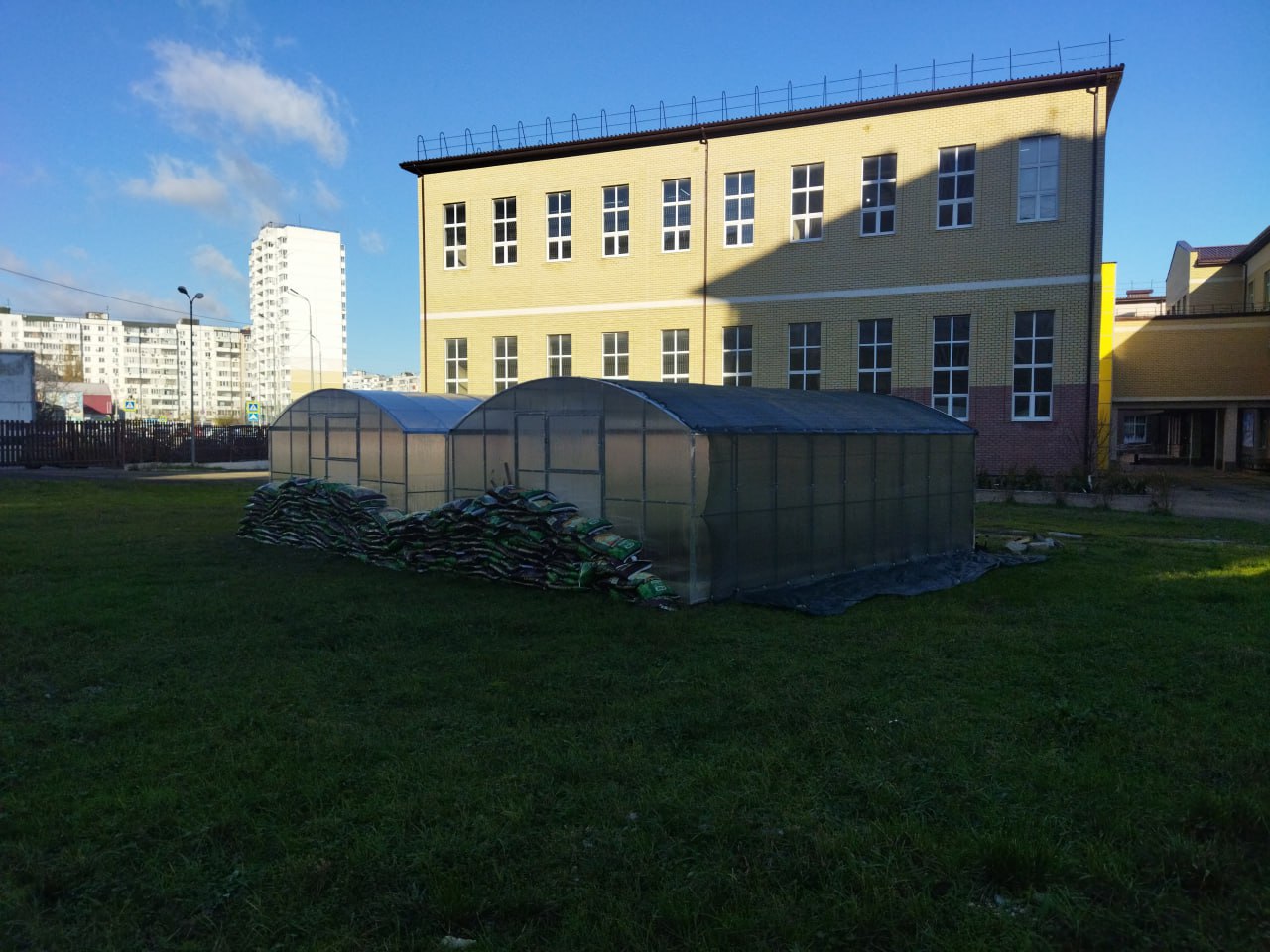 Школьные теплицы Новороссийска: новый этап в экологическом образовании Школьные теплицы Новороссийска: новый этап в экологическом образовании