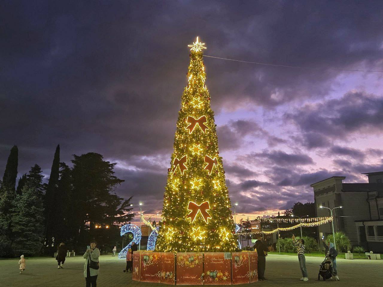 Выбираем самую-самую елку вместе с «Кубань 24» Выбираем самую-самую елку вместе с «Кубань 24»