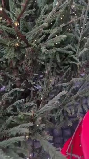 Краснодар укутал туман. Серёга прогулялся по утреннему городу