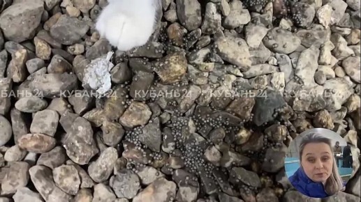 � ��������� ������ ���� ���������� ������ � ������� ������������