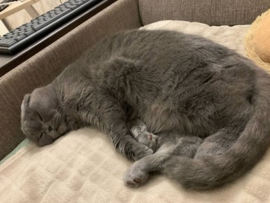 ������ ����, ������!. ��������� +10 ��