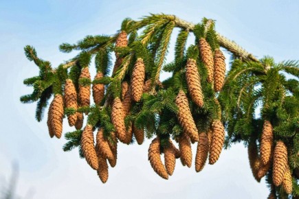 ������ ������ ��� �������� ����� ���������� ����������� ������ ���������