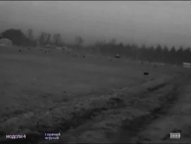 ������ ������, ������ ��� �� ����, ������ �� �����