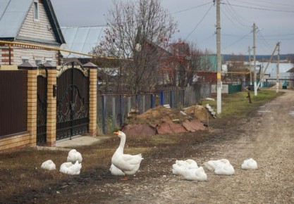 �� ������ �������� ����������� ����������� ����� �������������� ������ ��������� �������� �����