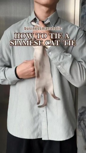 ���������� ������� � ���� ���� �������� ������������ � ����