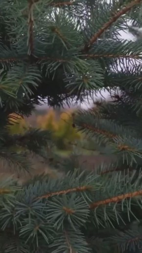 � �� �����, ��� ��� ����� � �� �����������?