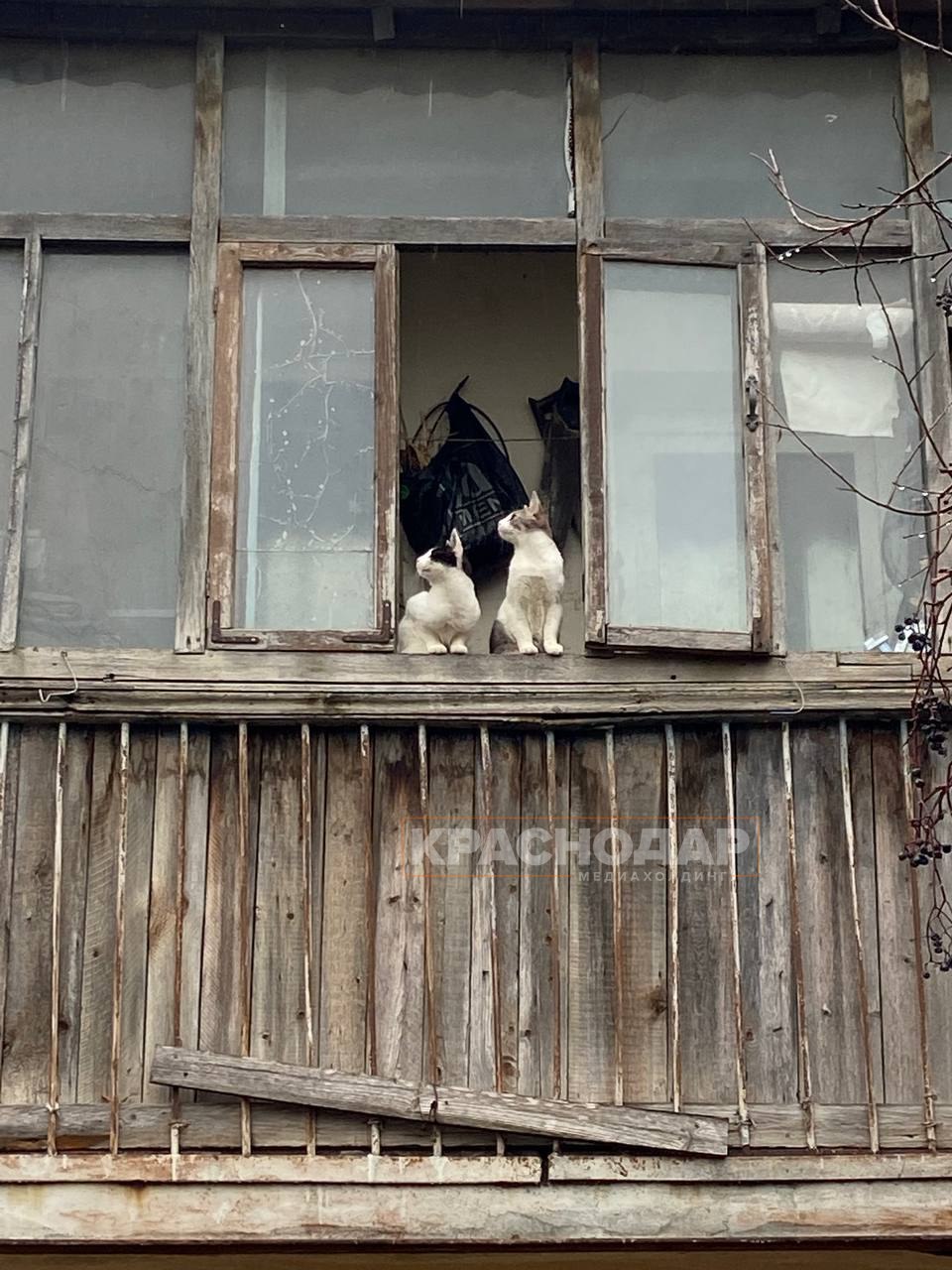 Голосуем за лучший «Краснокадр» Голосуем за лучший «Краснокадр»