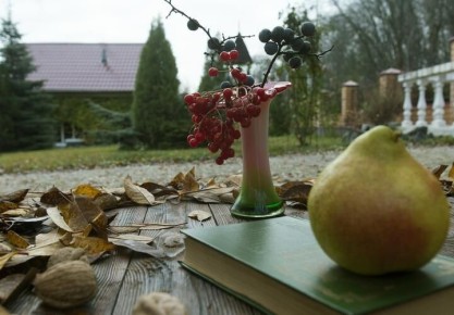 ������ � ������� ����� ���������� � ������ ����, ��� ������� ����� �� ���������������� �����������: ��� ���������, ���� �� �����