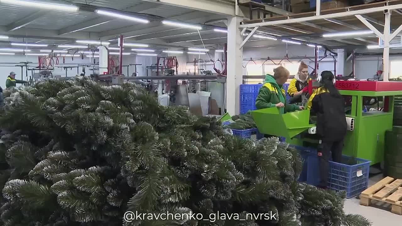 Андрей Кравченко: Новогодние ёлки с характером Новороссийска: в городе-герое действует собственное производство искусственных елей