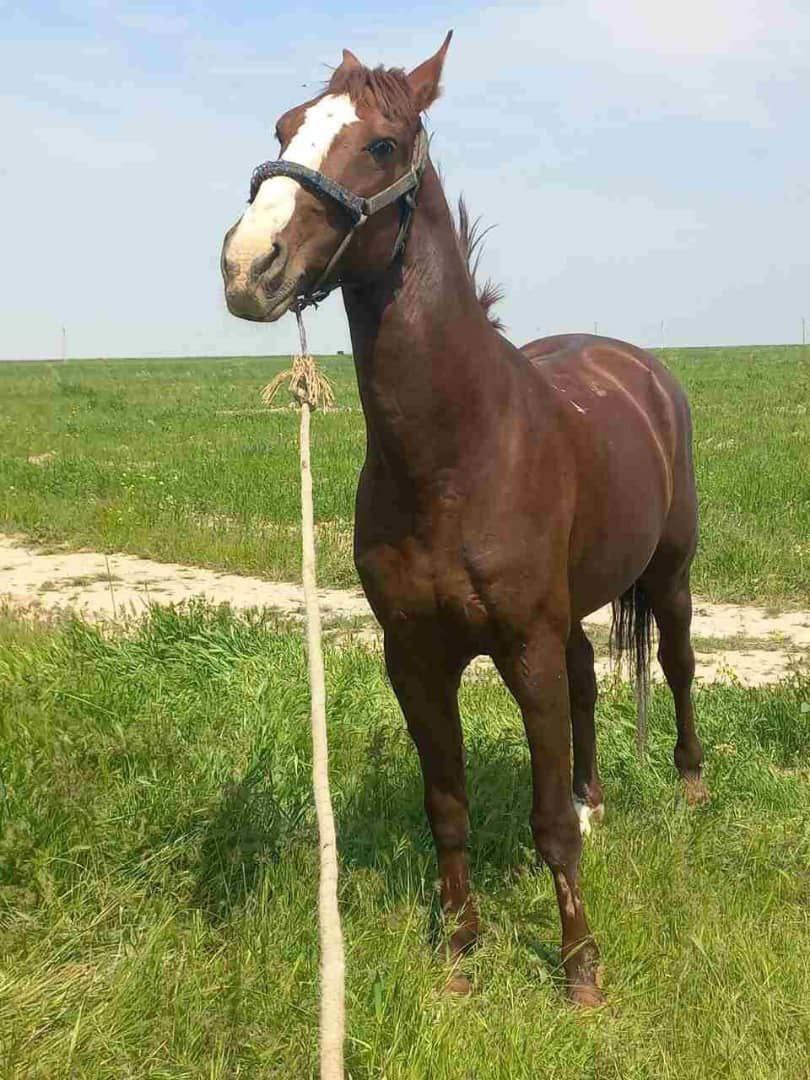 Доброе утро, Кубань!. Краснодар +3 °С Доброе утро, Кубань!. Краснодар +3 °С