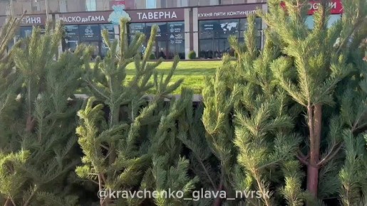 �������� ����� ����� �����: ���� ������ � ���������� �������� ����������� ����� � �������������