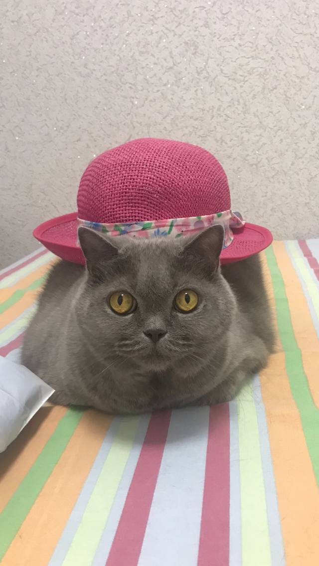 Доброе утро, Кубань!. Краснодар +3 °С Доброе утро, Кубань!. Краснодар +3 °С