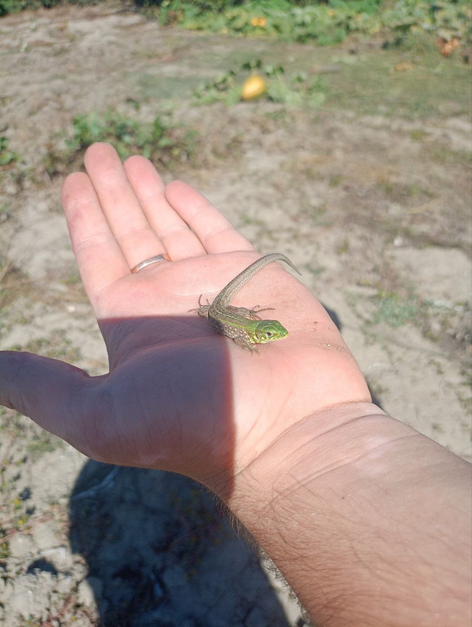 Доброе утро, Кубань!. Краснодар +3 °С Доброе утро, Кубань!. Краснодар +3 °С