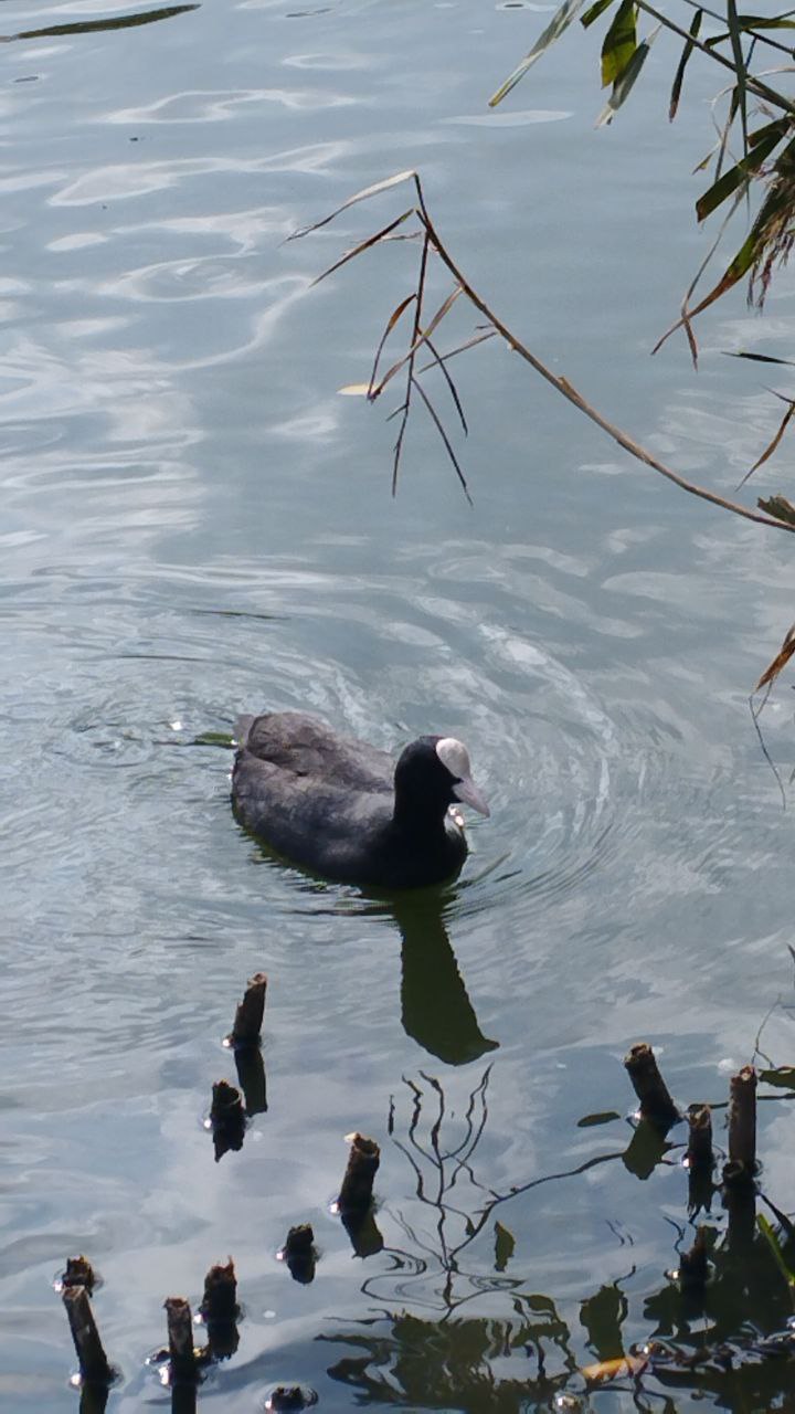 Доброе утро, Кубань!. Краснодар +3 °С Доброе утро, Кубань!. Краснодар +3 °С