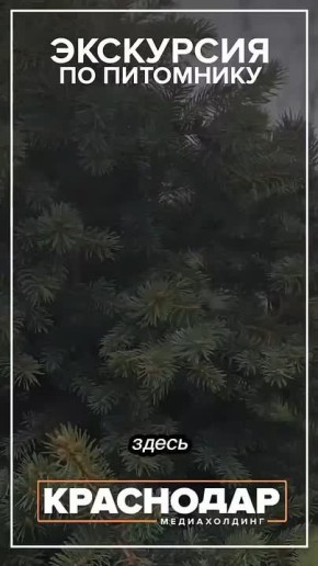 � �� ������, ����� ����� ��� ������ �� ������?