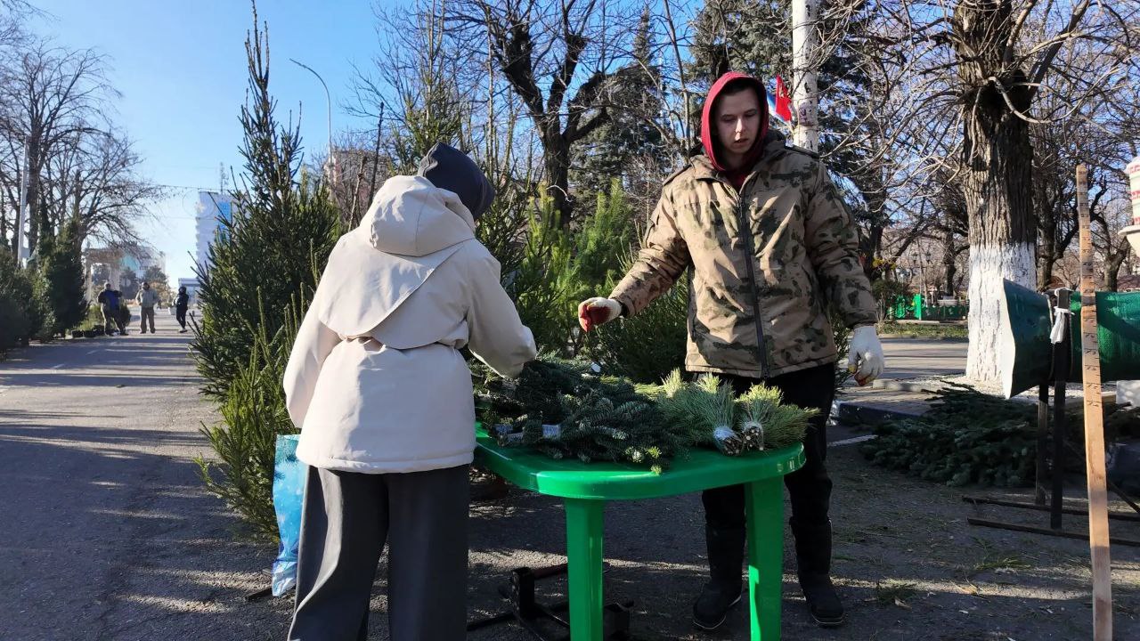 В АРМАВИРЕ ОТКРЫЛИСЬ ЕЛОЧНЫЕ БАЗАРЫ В АРМАВИРЕ ОТКРЫЛИСЬ ЕЛОЧНЫЕ БАЗАРЫ