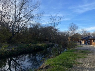 ������� ������ �� �����������, 21 �������