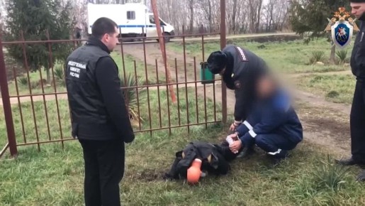 ������� ������� �� �����, ��� ������ ������ ������ ���������, ������� �������� ����