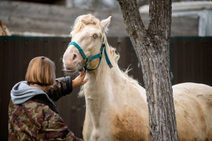 �� ������ ������ ���� ��������� ����� �� ������ �� �����