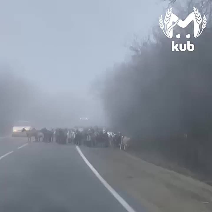 "�������, ����� ������ �� �������!"