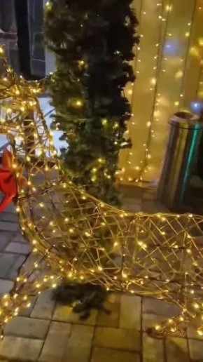 ���������� ��������� �� ������ �����