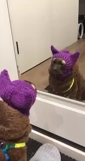 ���������� � ������ � � ����� ������!