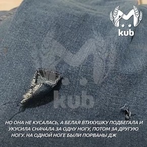 ������ � ������� ������ �� ������������� � ����� ����������