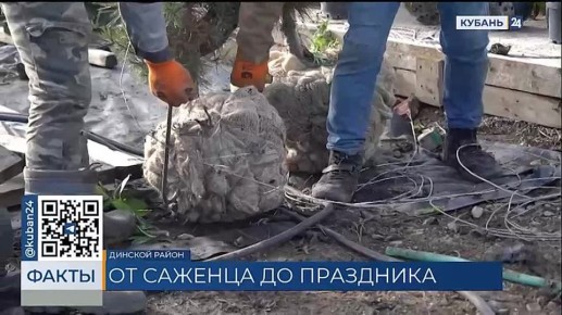 37 ���. �������� �� ���������� ������� �� ������� ������ � ������������� ����