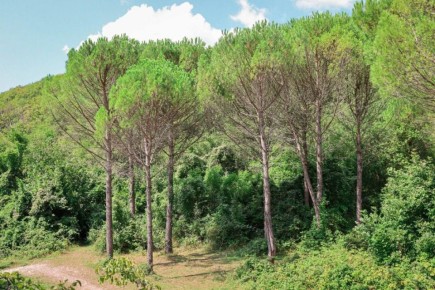 Вениамин Кондратьев: В 2025 году под особую охрану и защиту взяли более 19 тысяч гектаров природной территории