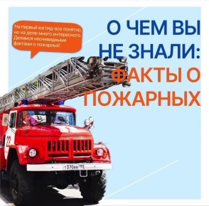 � ��� �� �� �����: ����� � ��������