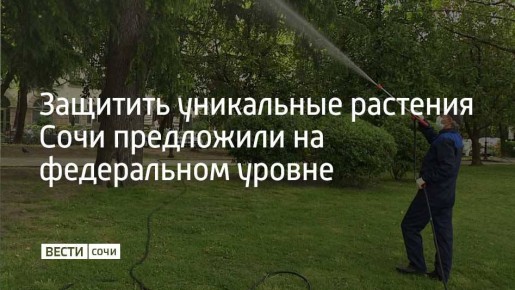 ���������� �������: �������� ���������� �������� ���� ���������� �� ����������� ������