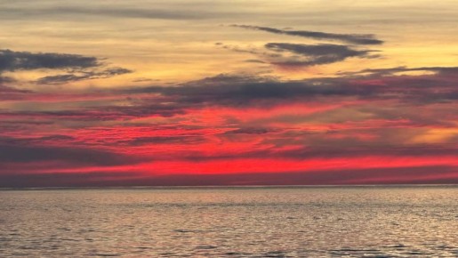 �������� ��� ���� ������������ �� ���������� ��������� ���� �� �����������