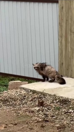 ��������� �� �������� ������