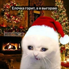 ����� �������� ������� �� ����� ������ �� ������ � ��������� ������ ����� ����� �����