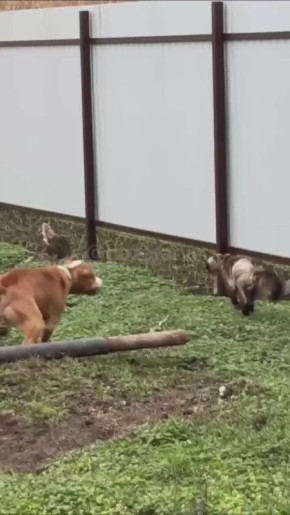 ���, ����, ��� ���?. ��������� ����� ����� � �������������