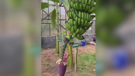 � ������� ������� ������ ������ �������