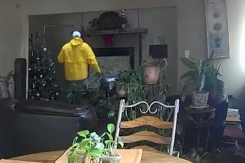 "�� ����������� ����� �����������"