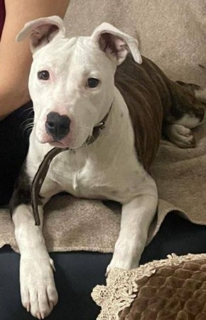 ������ ���: ������� ������������ ������� �������� ���������� ����� ���������������� ������� ����