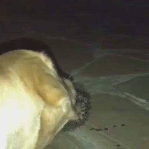 � ���� ����� ����� �� ����� ���� � ������ ������