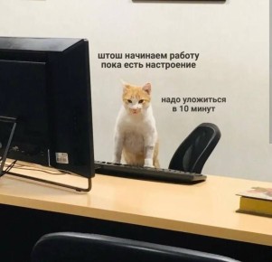 Что мы рассказывали 26 декабря: