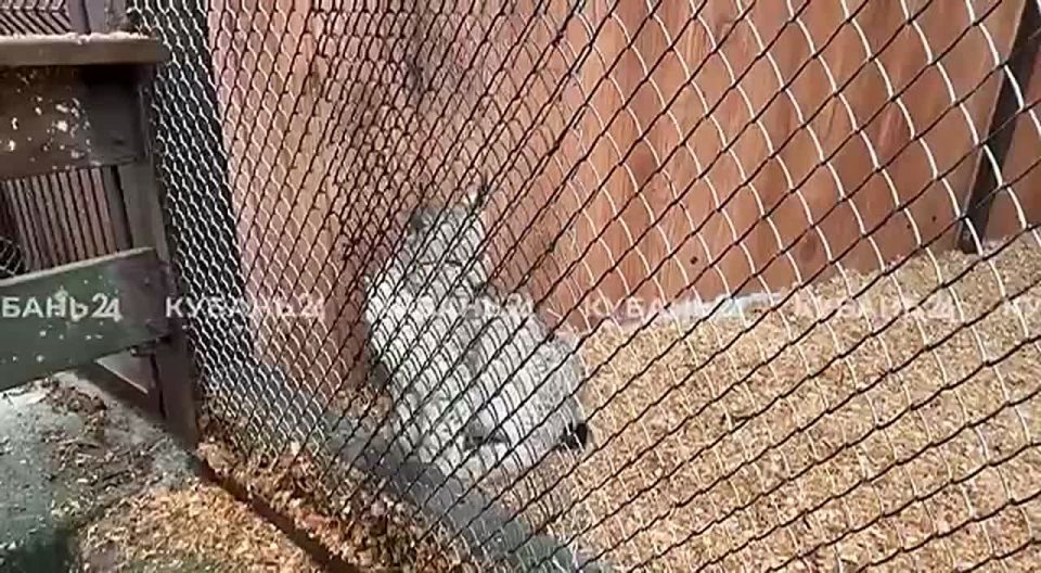 ���� ����� ���������� � ��������� ��������� ������ ����������� �����������