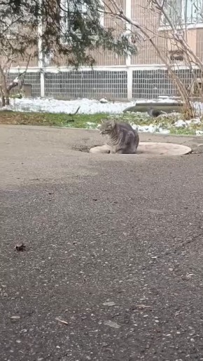 ����� ����? ��� �����!. ���� �������� ����� � �������, � ��������� �������� �� �������� - ��������� ����� - ��� ������ ������ �����, �� ����� - ����� ����