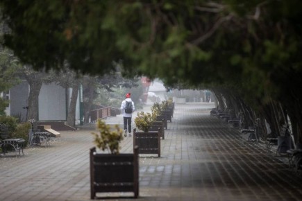 ��������� �������� �������